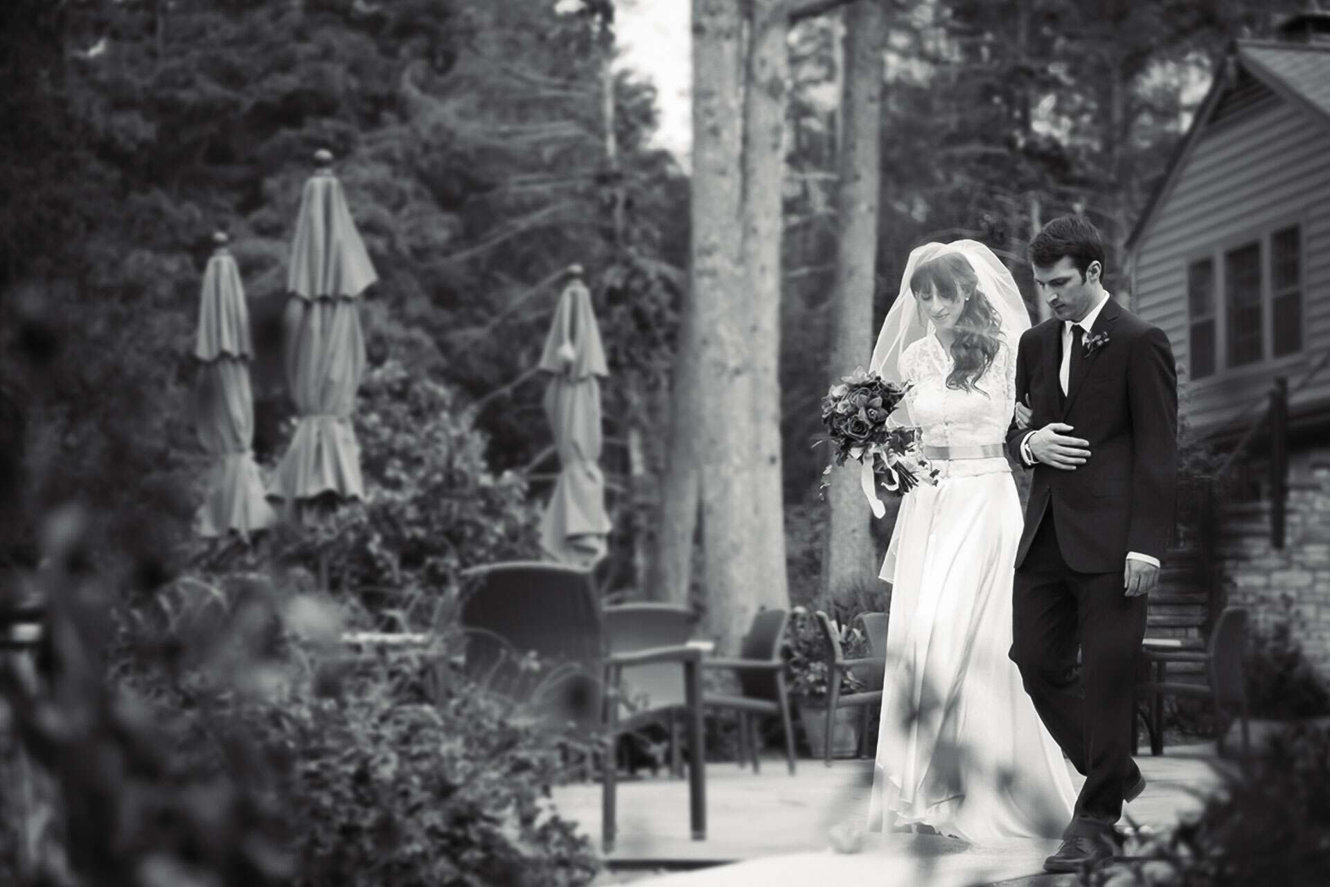 daniel tomei wedding daniel tomei wedding